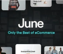 June  - WooCommerce WordPress Theme