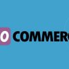 MailChimp for WooCommerce Memberships