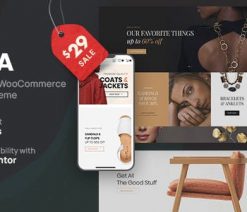 Molla  - Multi-Purpose WooCommerce Theme