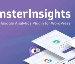 MonsterInsights  - Best Google Analytics Plugin