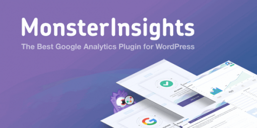 MonsterInsights  - Best Google Analytics Plugin