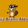 Ninja Beaver Pro  for Beaver Builder