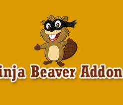 Ninja Beaver Pro  for Beaver Builder