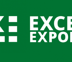 Ninja Forms Excel Export Extension