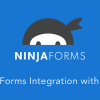 Ninja Forms for AMP Plugin