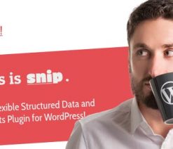 SNIP  - Structured Data Plugin