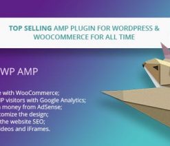 WP AMP  for WordPress and WooCommerce