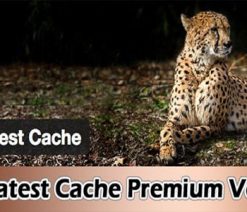 WP Fastest Cache Premium