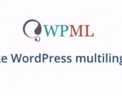 WPML All Import Plugin