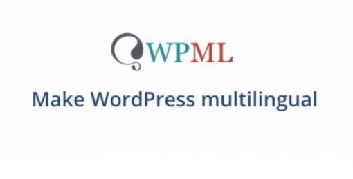 WPML All Import Plugin