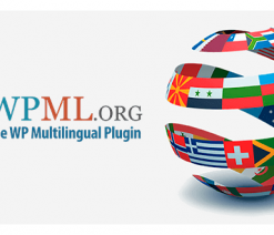 WPML Media Translation Add-on