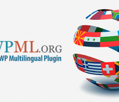 WPML String Translation Add-on