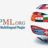 WPML Translation Management