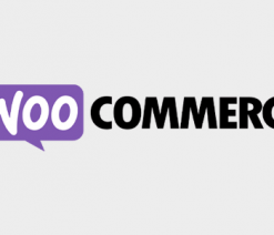 WooCommerce WorldPay Gateway