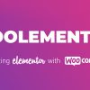 Woolementor Pro