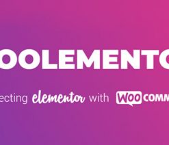 Woolementor Pro