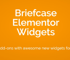 Briefcase Elementor Widgets