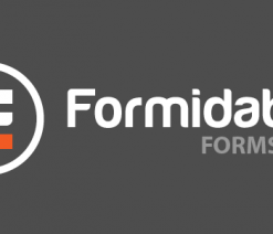 Formidable Forms Pro Plugin