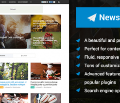 MyThemeShop Newspaper WordPress Theme