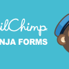 Ninja Forms MailChimp Extension