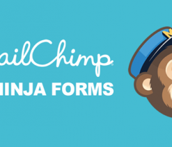 Ninja Forms MailChimp Extension