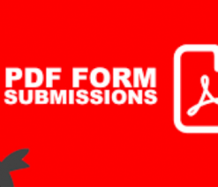 Ninja Forms PDF Form Submissions Extension