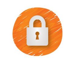 Really Simple SSL Pro Plugin