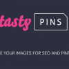 Tasty Pins WordPress Plugin